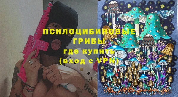 соль курить ск Белокуриха