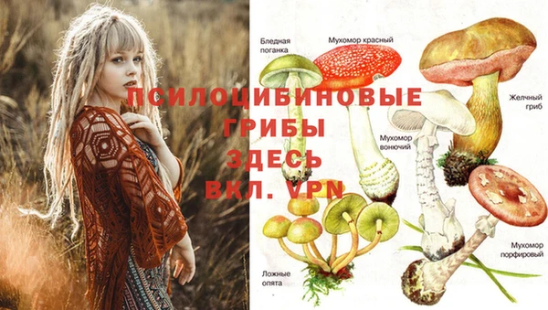 mdpv Белоозёрский